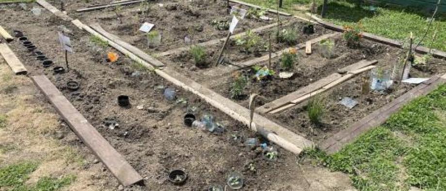 potager partagé