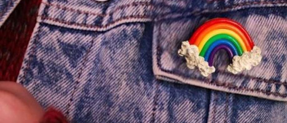 LGBTQIA+ Fedasil