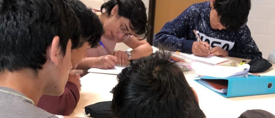 samen huiswerk maken collega's gezocht