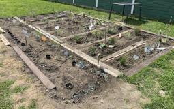 potager partagé